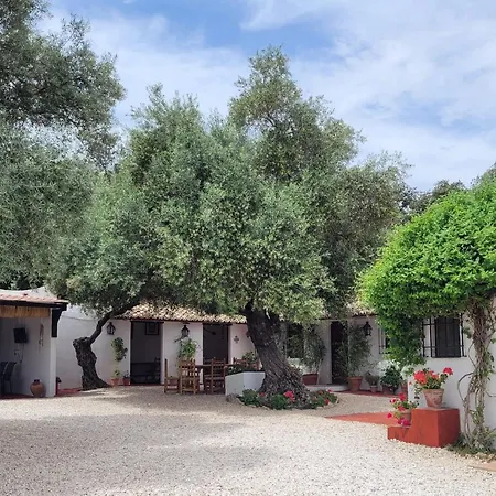 Casa Abanto Holiday home Ronda