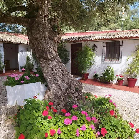 Casa Abanto Ronda
