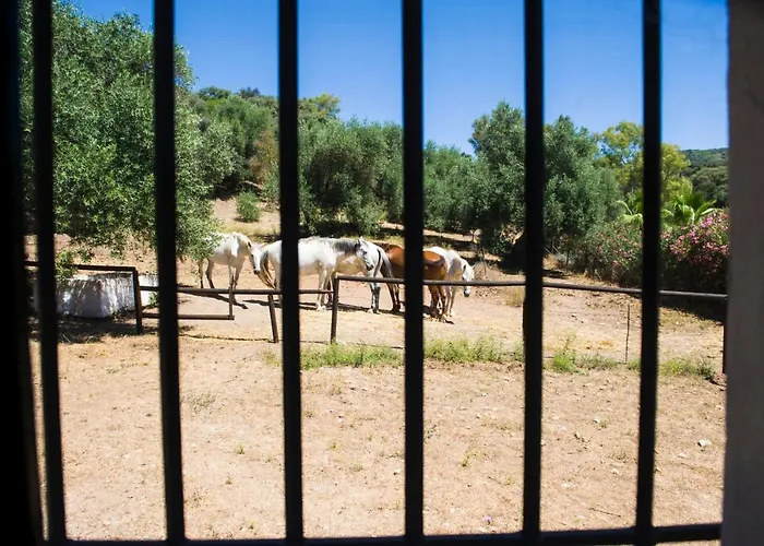 Casa Abanto Будинок відпочинку