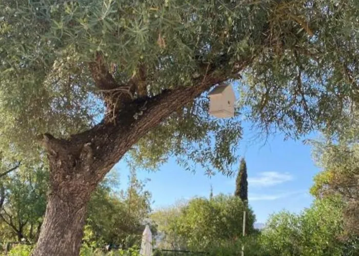 Дом отдыха Casa Abanto *