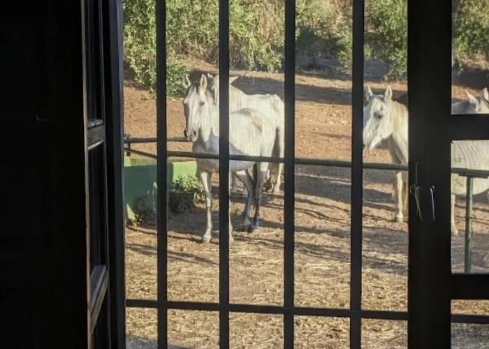 Casa Abanto Будинок відпочинку
