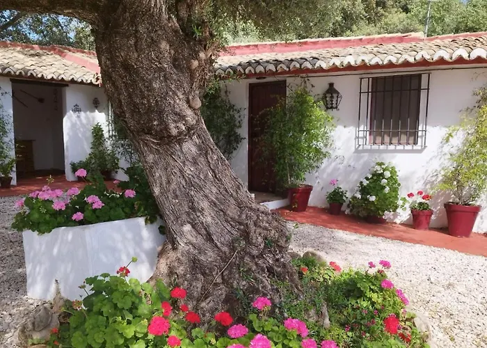 Casa Abanto Ронда