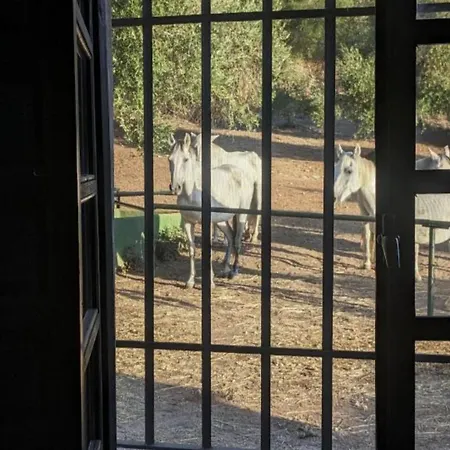 Casa Abanto Сasa de vacaciones